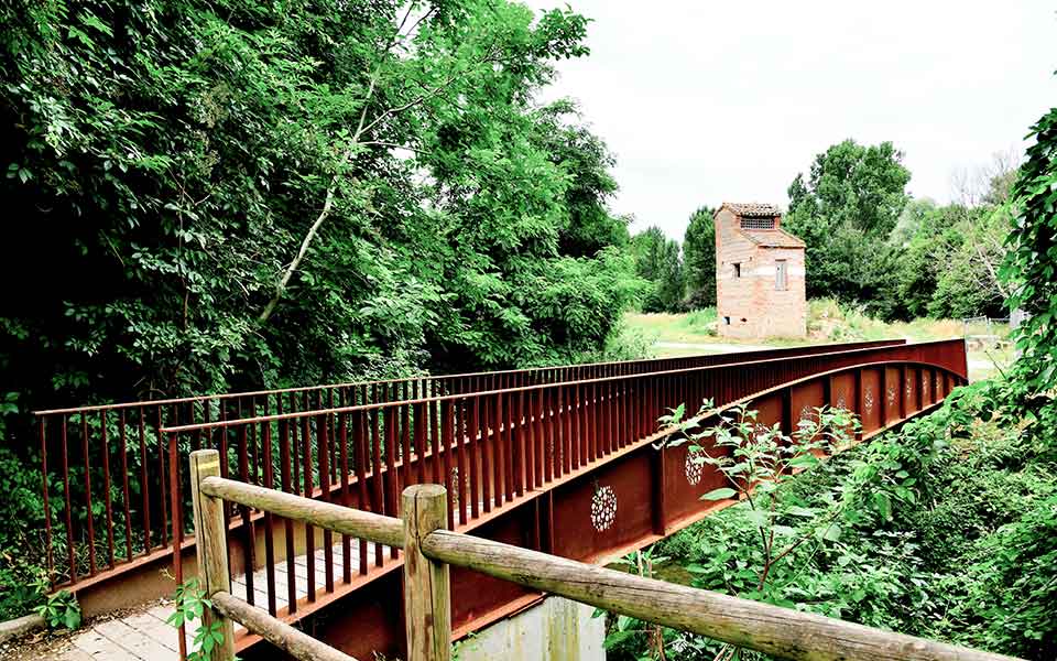 espace naturel en bord de rivière Aveyron à Nègrepelisse en Tarn-et-Garonne